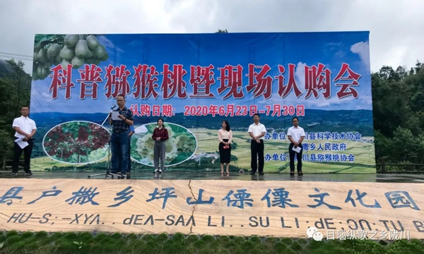 421599fb3502bedcedb85323ddbc9935