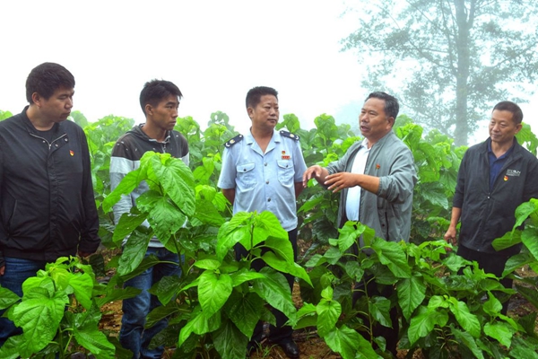 0898f502ee5cfc5589d7880dddcb8254