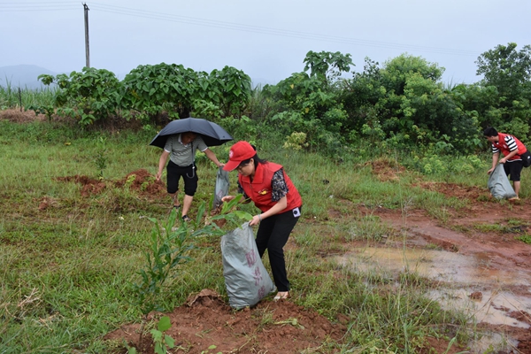 8068f4416783e34a8d9e6e1843325935