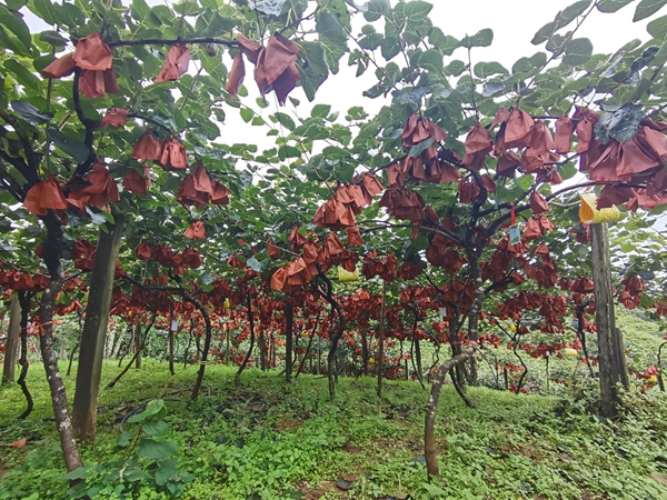 ac6b45b254bf260513dd66e264016a1c