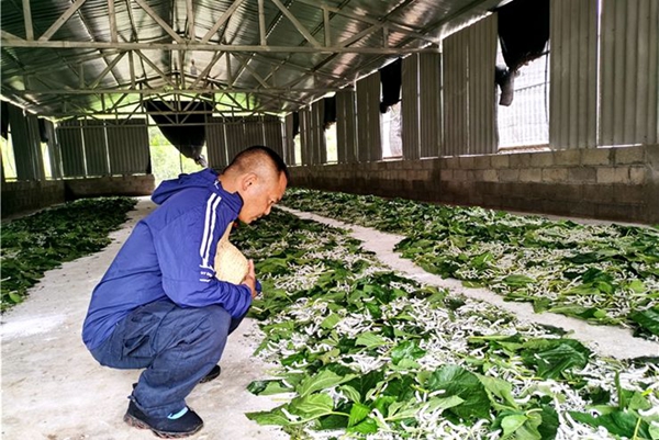 f1ef6cefe4f4aa5559ddcab152db3359