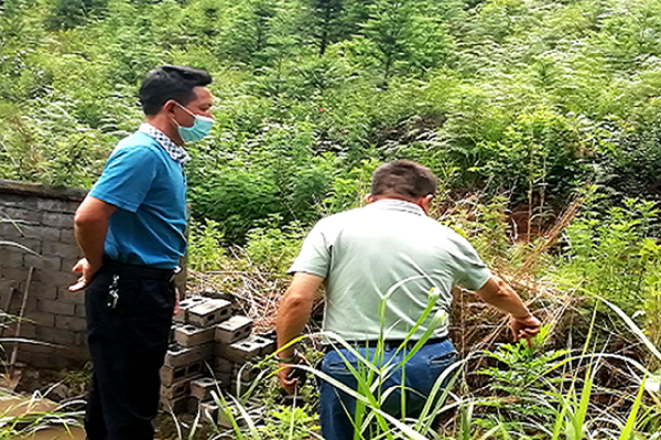 50166da0381e393e79da1e8e219054f3