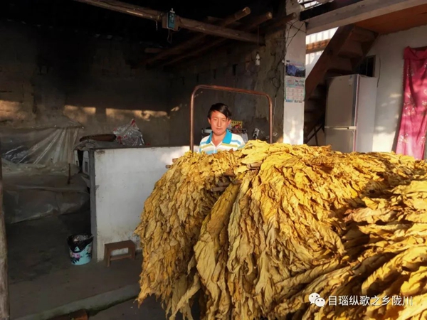 29d97c06f53bfd6f77391c46f1db5019