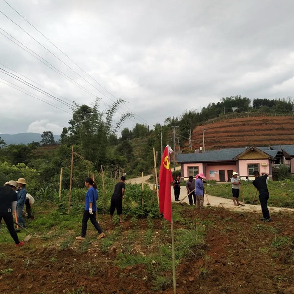 1e71b9b459d89fda9dea0be3261e04a4