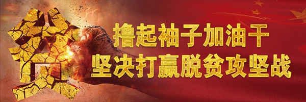 1e67296ae847a1b1b4c61c2e5b724db3