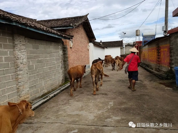 bd725c6a4a4e07d41934cd764009e059