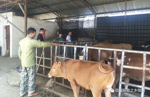 79549c10ea873c7bc0b03a039e3b43f2