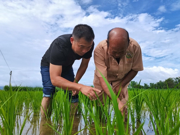 c1291a65e51e43bb63066fb114914ee0