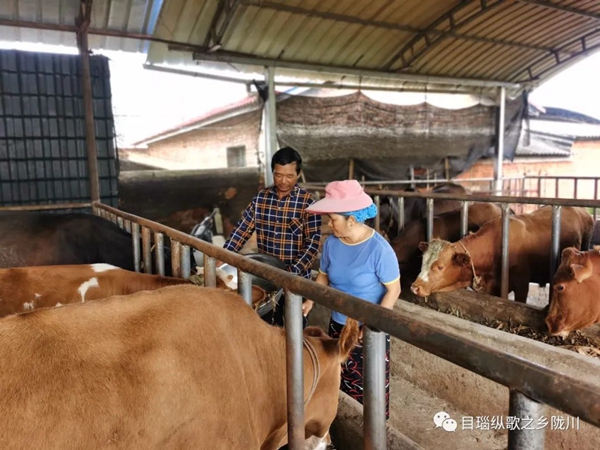 f8ec6a3e81c7f6c9eab5e2763f549682