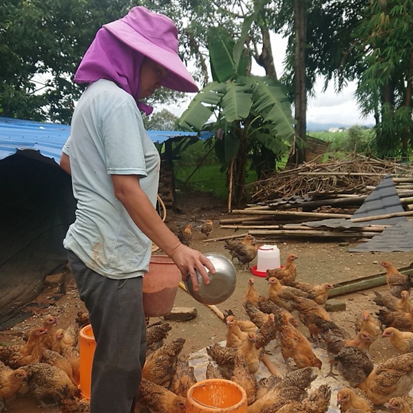 f9cb6cc25b4dea9b14b85974688b0692