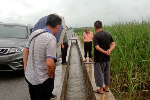 258fe5a92db529582901e69b72f37031