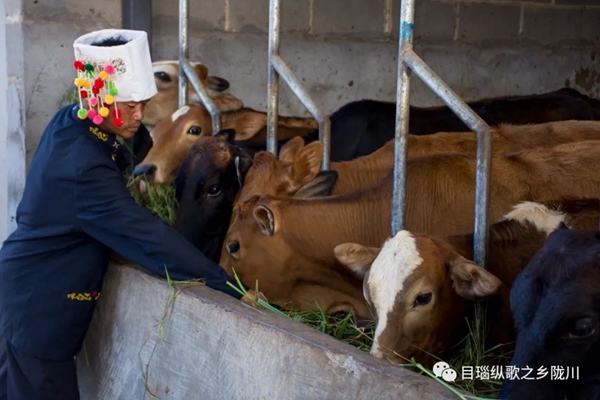 629e81a79859cc841bfddef0c304668d