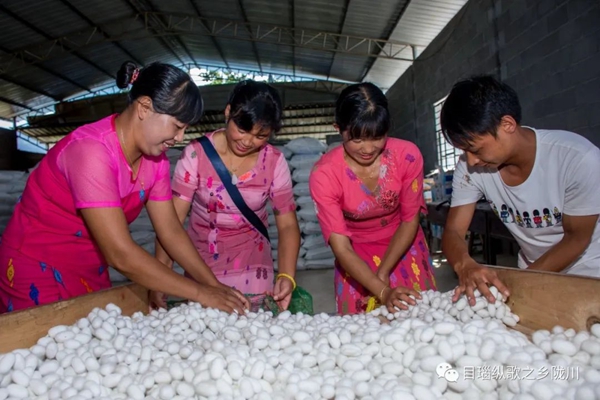 287f62d5be98556d69e0afba7d090214