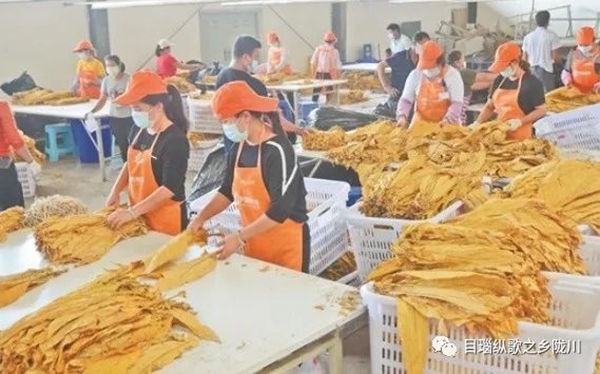 f825bc2601307f27ea664bf136642a78