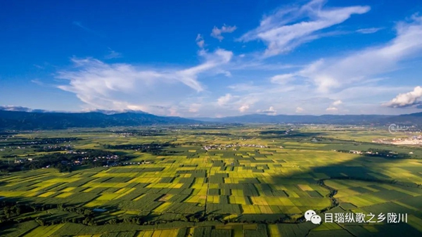 9982bf35ff4ece5dd21e9c74c65d54e1