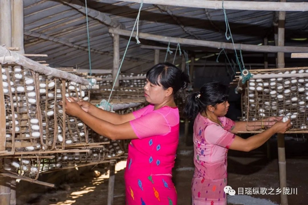 98fae32ac78af876e292b34467c2b295