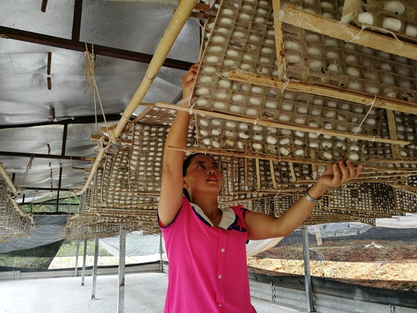 7001b3c00dec001f5818d9efb4dc2938