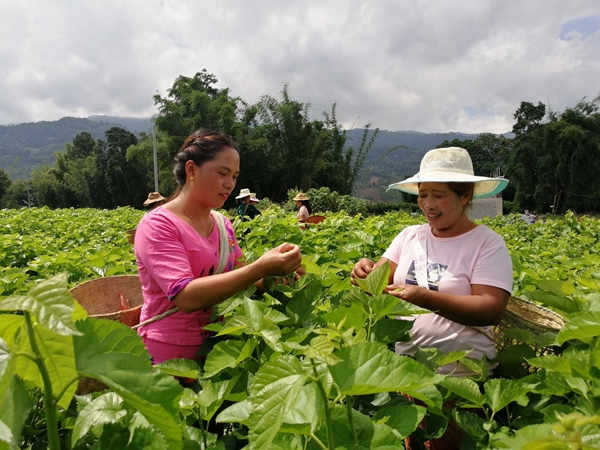 f68da8ea9397eb0175a414170b4115aa