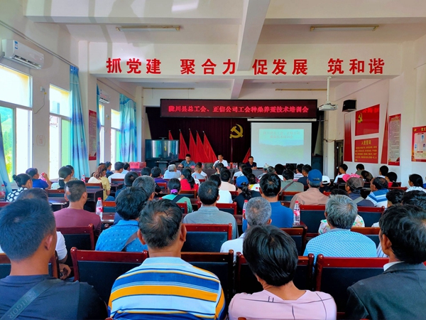 7086884c9fc40356276d7f7bc0a4e589