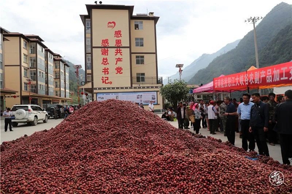 8e0d519f0ec935d56e500fe1adb89fe0