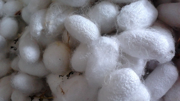 e1102f0e68cd5285c6d14685969230c7