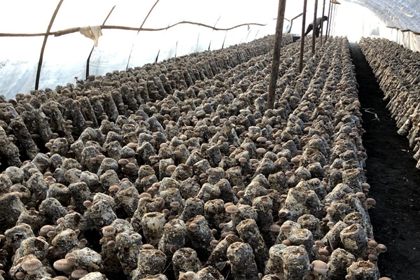 e19489af4fdaccf40b7dff988f05cdeb