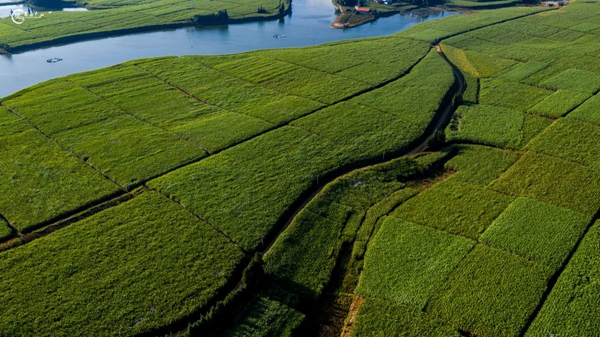 919825dd2c8dfea4a2bf829b81eefe02