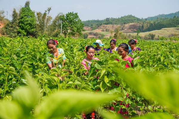 5e2a578e509f4022ccefac953f48ddac