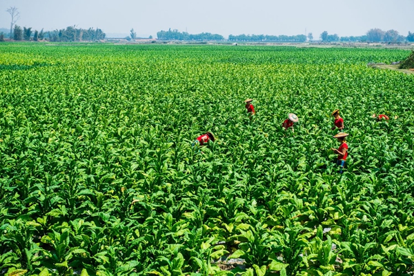 42c60eb8d8237172bec70ce67fb76989