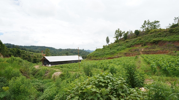 b7f7d39420f33af8fbe759d7046e72bf