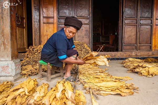 adaa14862cdbe0b56135aee51d44ea7b