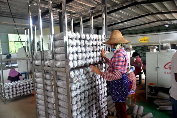 53586768d0ae10d8a13160821de6e538