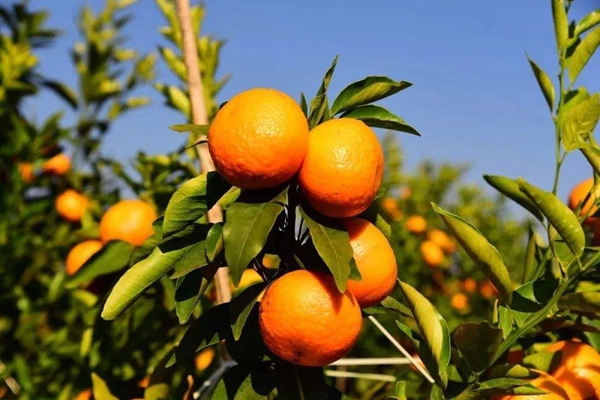 85c07e4f950e32b21050138012b8f83d