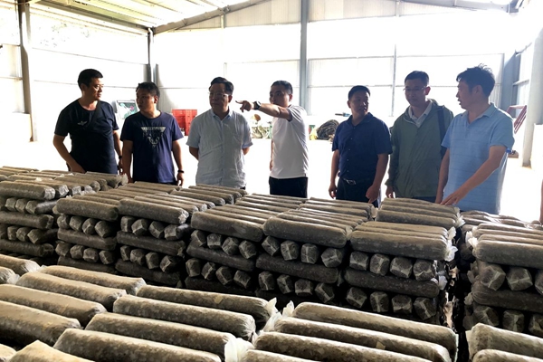 38887daaabd61b8fe37a8229dadbf1c8