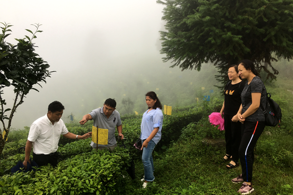 87974d023dc6b67500cad5f45d73f24e