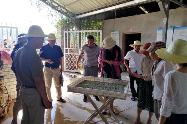 8ff1e11676710b413ff9f6852d1eb498