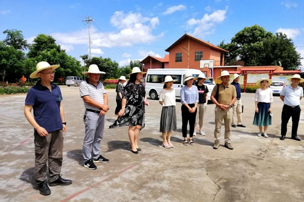 b2c3e6ac44678a7a4af15d471affdd8c