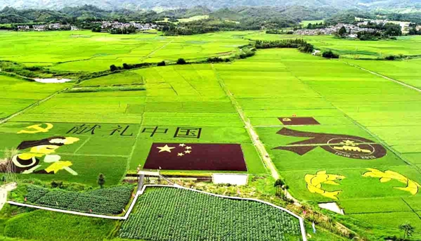 626e7bae362e9557c7354643ce3df02d