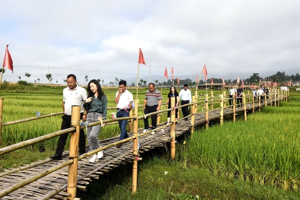 6d0d1f5e86d0dbb494efa941e6d54e8d