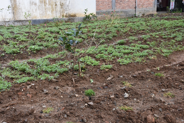 42e7a51fd48ac7be576004a45fdb222c