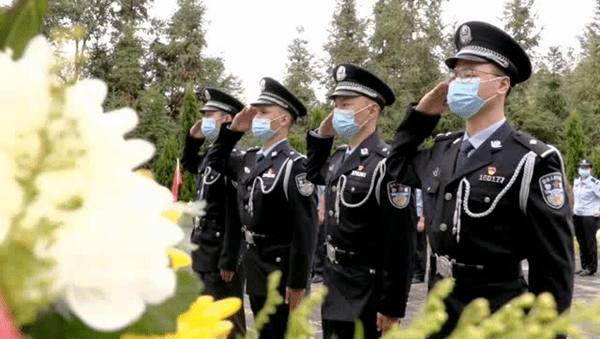 8ebc1daaf9db6ab4172245ecb12b4d74