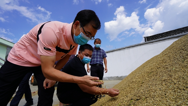 91c77b4b4f0f4b3db33e6d9fa73c5dbd