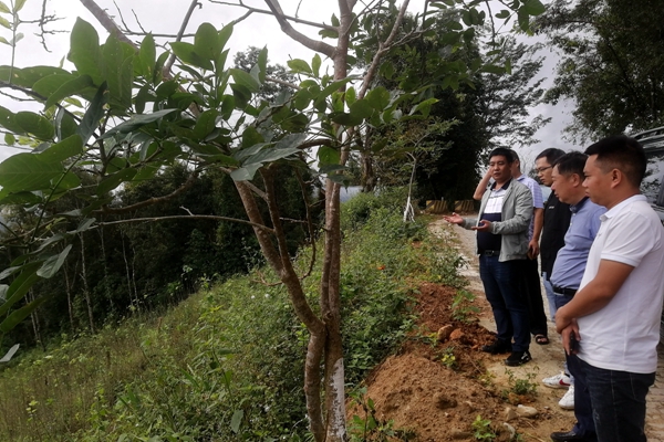 dc887624851f97421fd9de7e8bb506dc