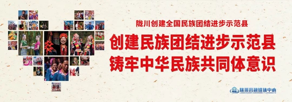 b91d6f8430a58a25f9fa3444c7039055