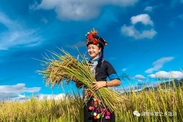 63d0208c2cacd13aab9616c53186365c