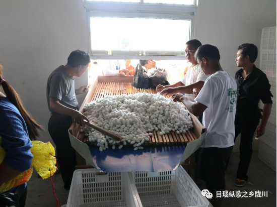 f5438b9d4402a1e5b8816f21da682275