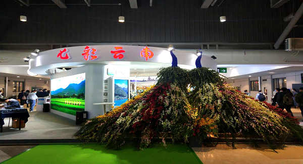 43d8ad3c991677526416050538b75e22