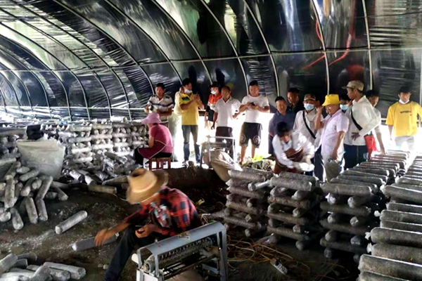 25847175d63ff0d85fa1959bef11792b