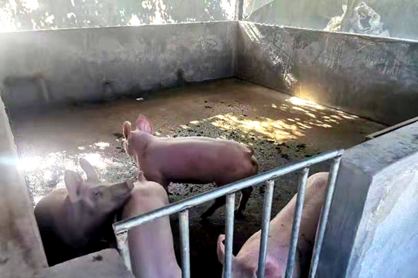 fc6522ab3c6af4d4041a549cadb570d4