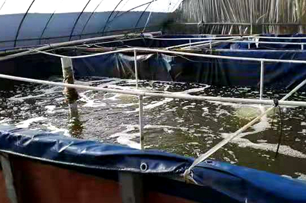 b8c5e037eb89019e485f820f40c865b2